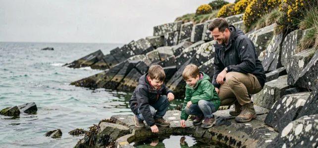 Top des activités incontournables à faire en Bretagne pendant les vacances en famille Top des activités incontournables à faire en Bretagne pendant les vacances en famille